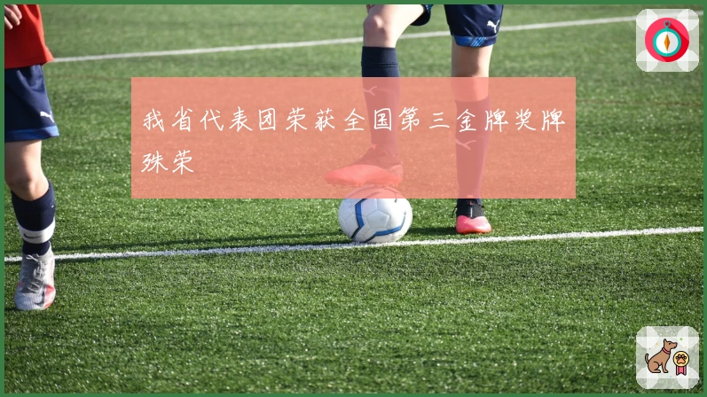 我省代表团荣获全国第三金牌奖牌殊荣