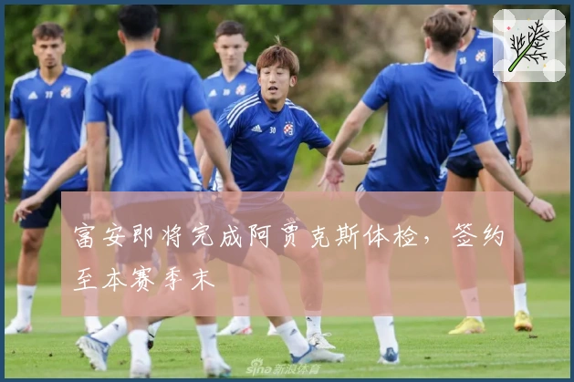 富安即将完成阿贾克斯体检，签约至本赛季末