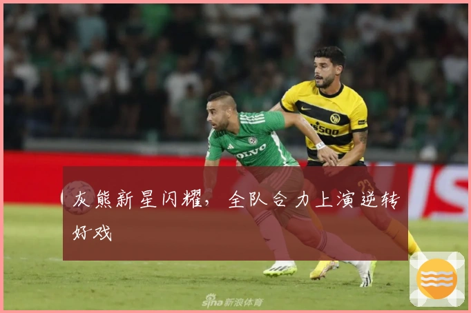 灰熊新星闪耀，全队合力上演逆转好戏